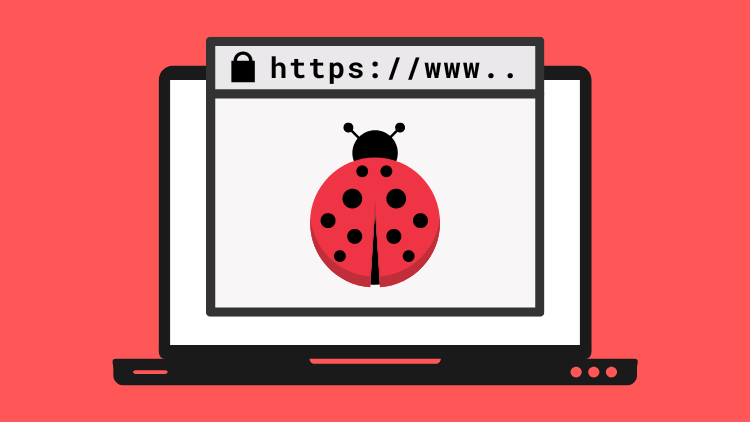 Bug Bounty